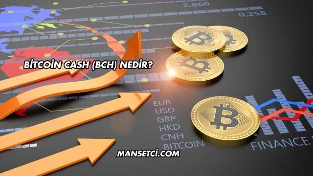 Bitcoin Cash (BCH) Nedir?