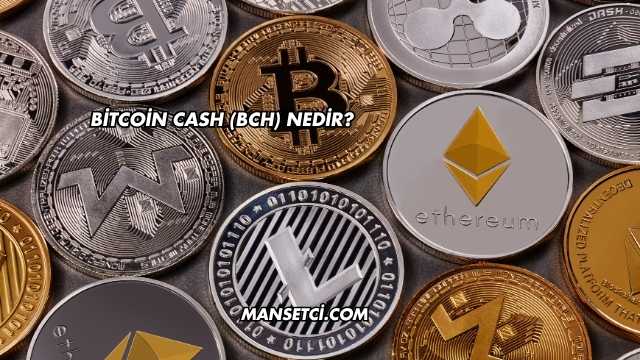 Bitcoin Cash (BCH) Nedir?